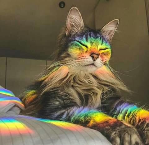 ❤