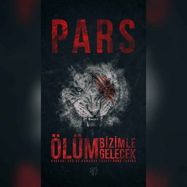 Pars Taburu