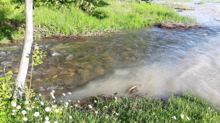 two rivers,dirty & clean