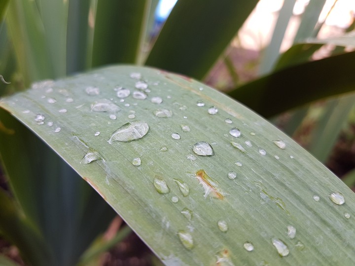 rain