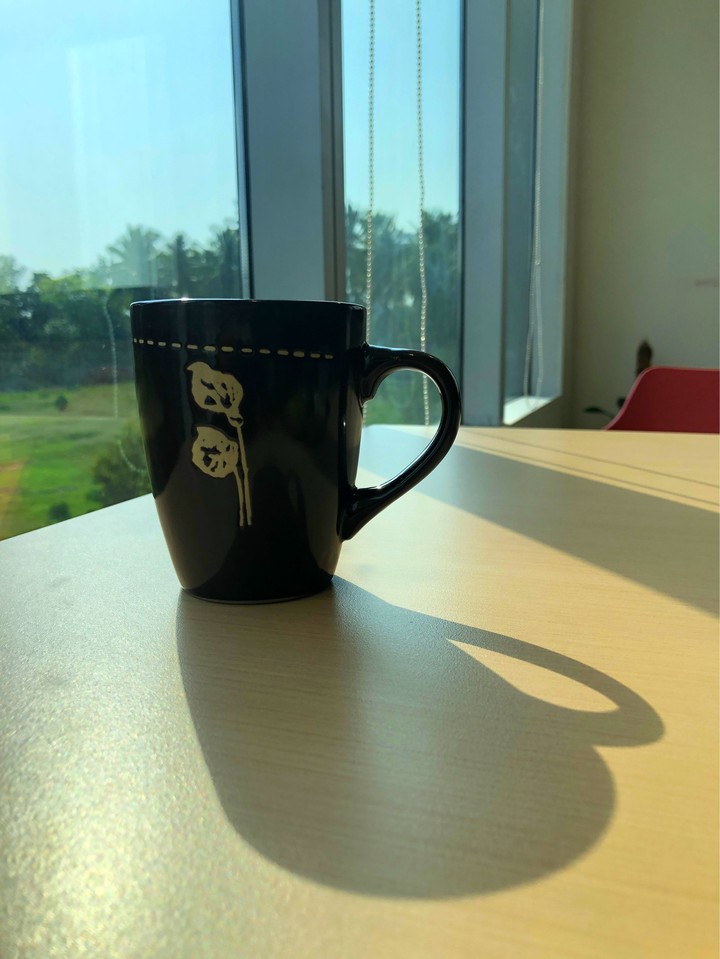 morning lights