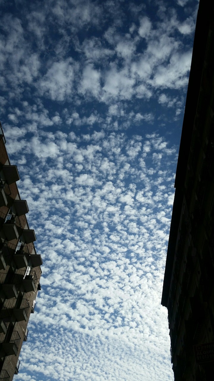 Summer sky