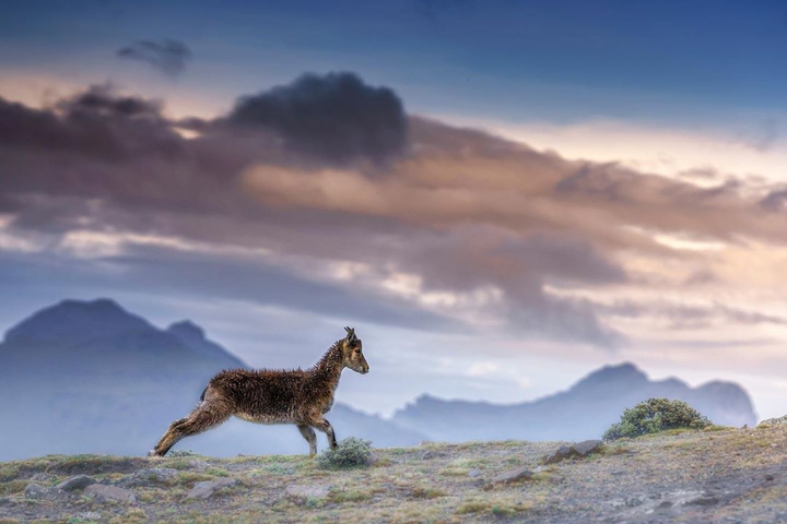 mountain