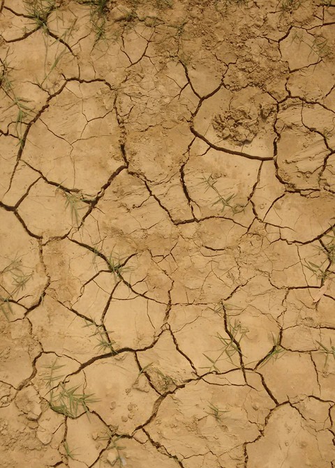 Cracks on soil