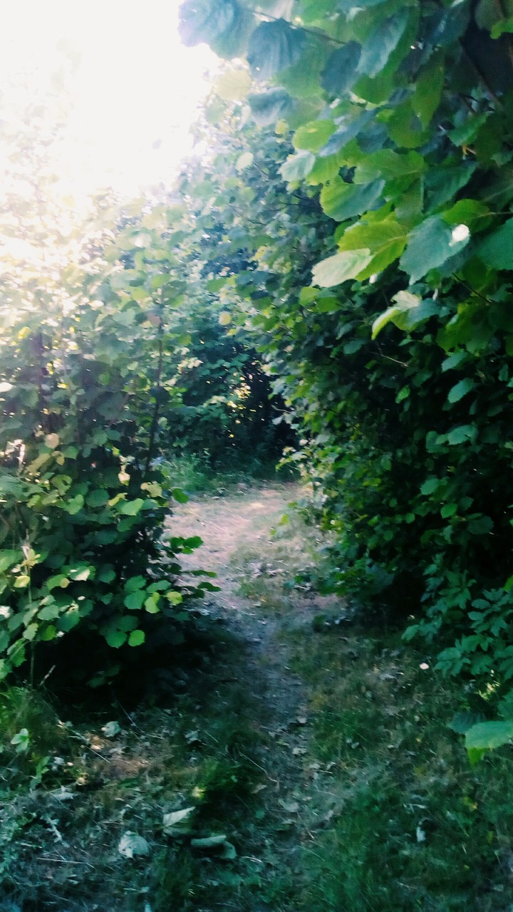 Not a masterpiece, jus my photo from the walk.