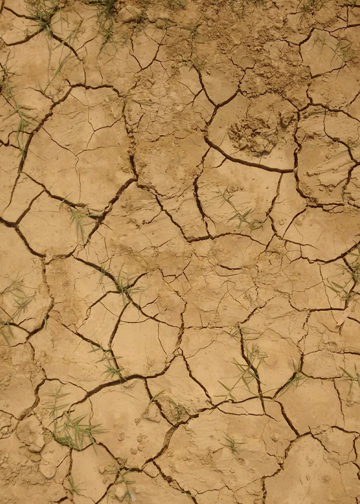 Cracks on soil