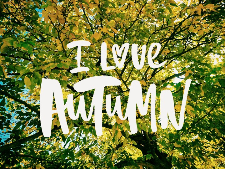 I love autumn