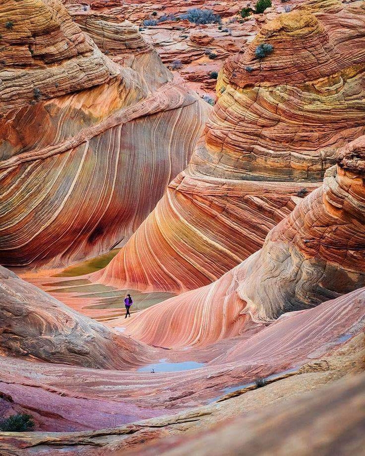 rocks