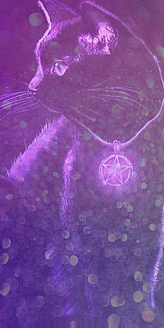gatito púrpura