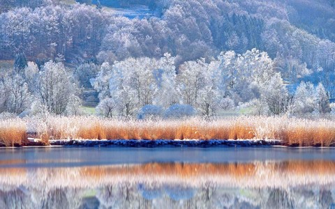 nature, sky duvar kağıtları