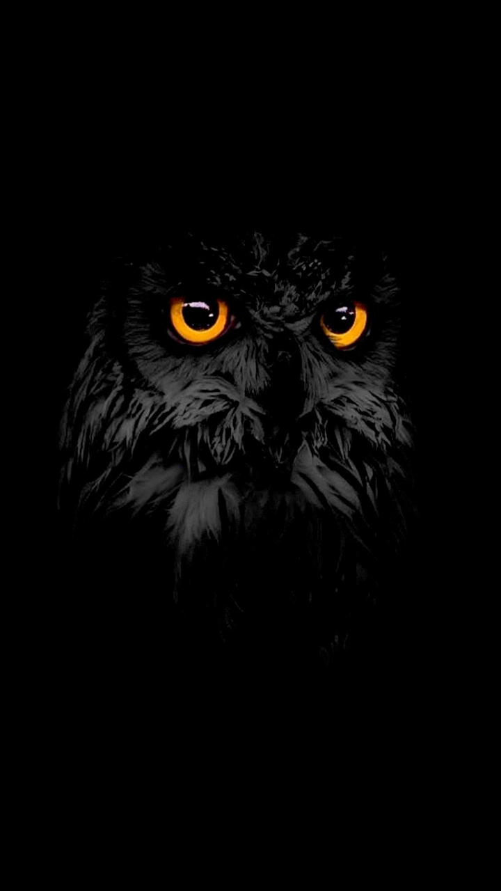 black wallpapre