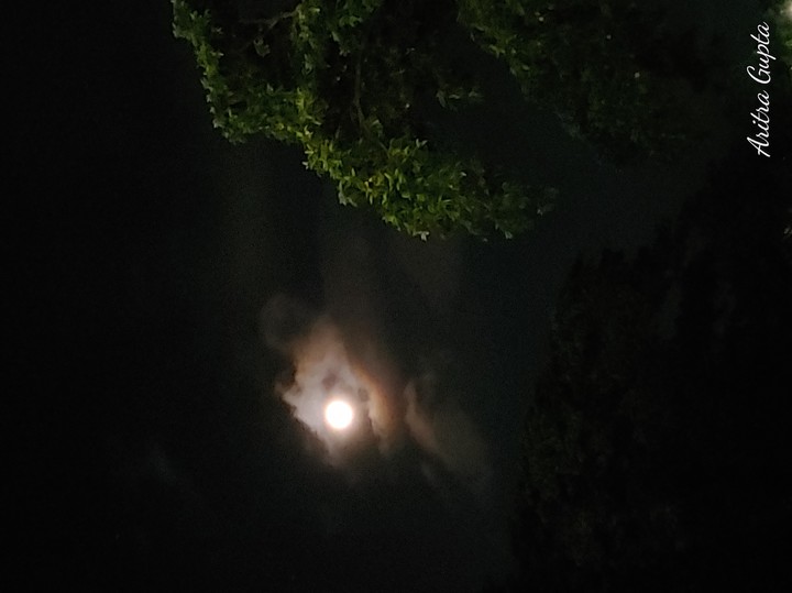 Night sky