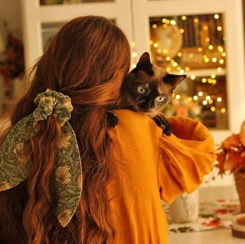 carnivores, cat duvar kağıtları