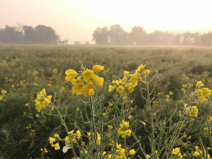 beauty of nature