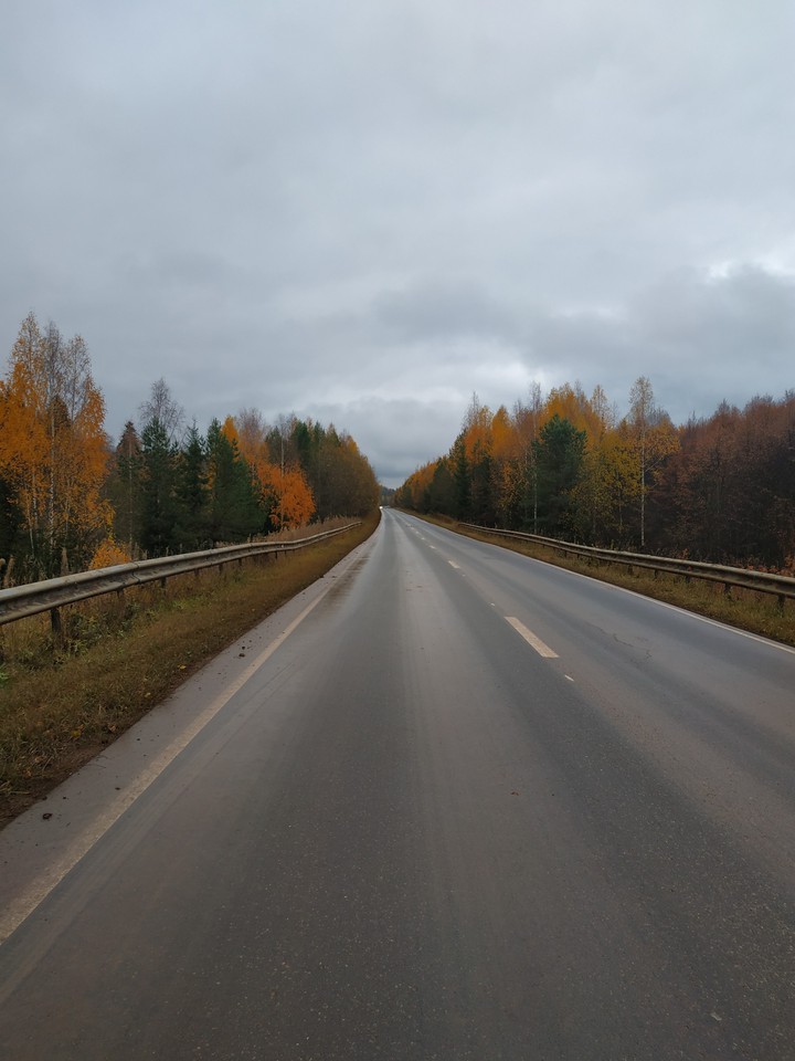 autumn