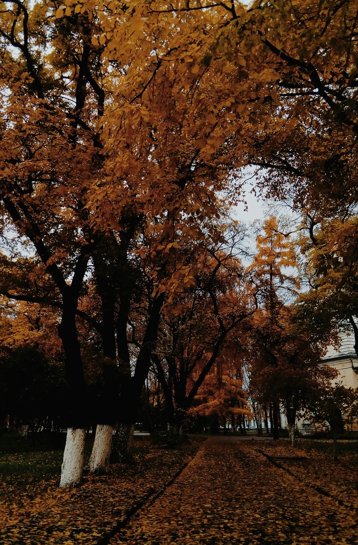 Autumn in the city