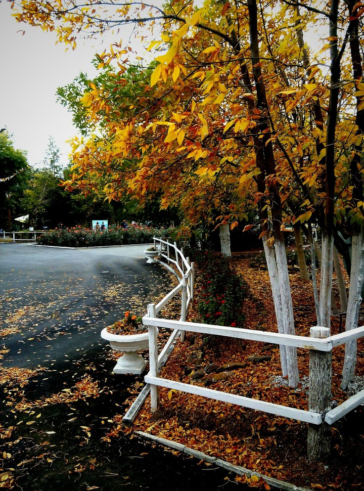 Park