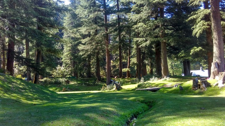 Dalhousie