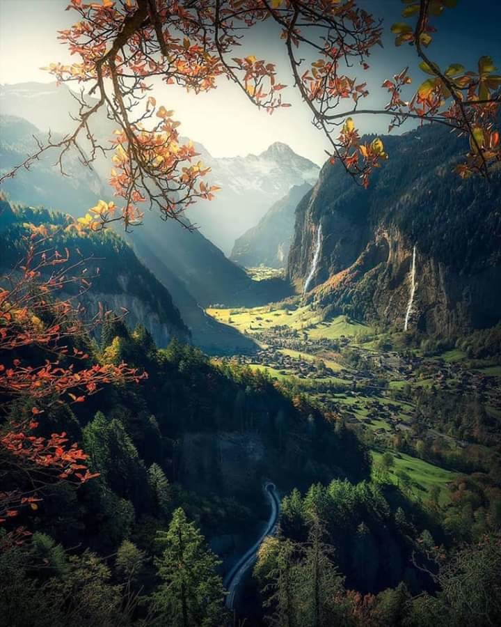 beauté