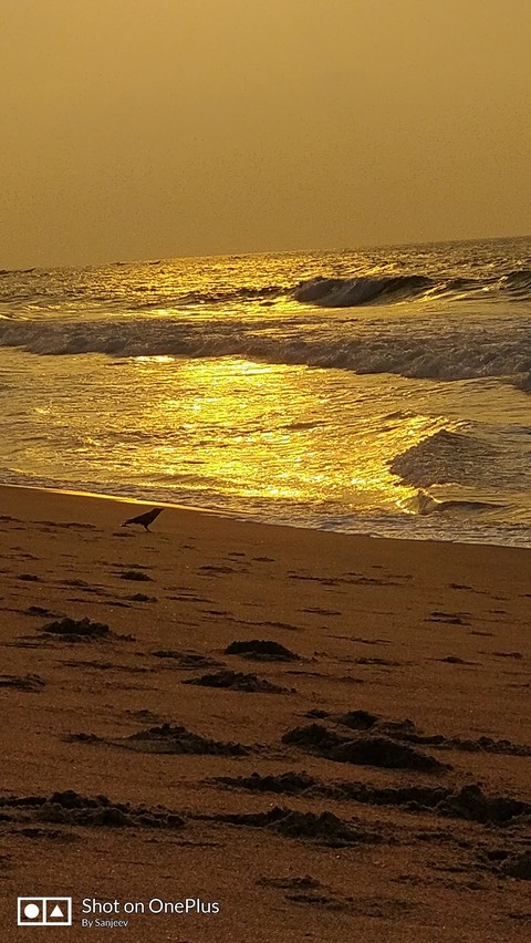 Tranquil