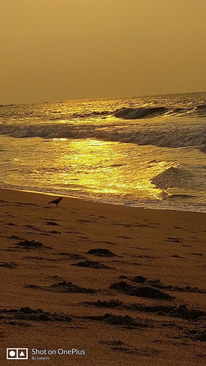 Tranquil