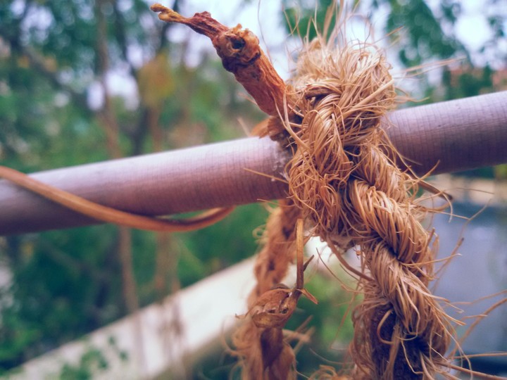 Rope