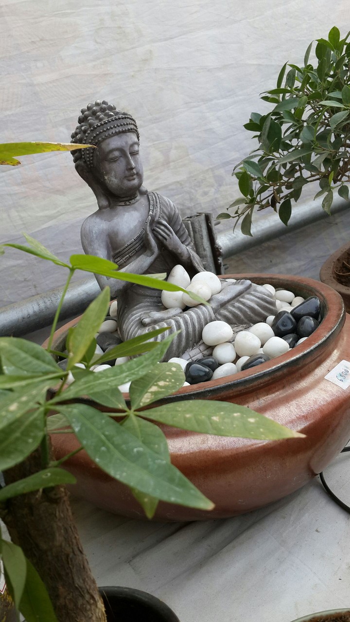 Buddha