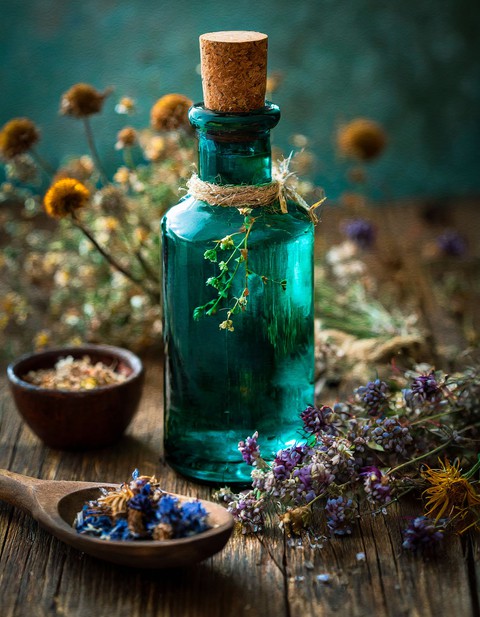 plant, drinkware wallpapers