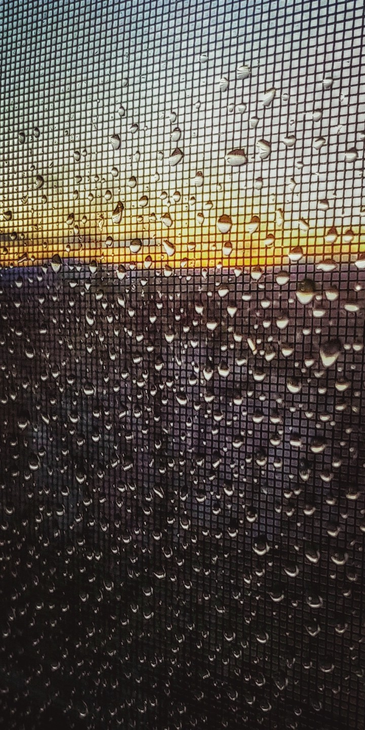 Screened in