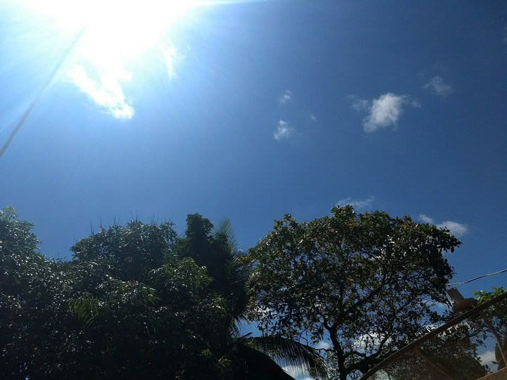 Sky