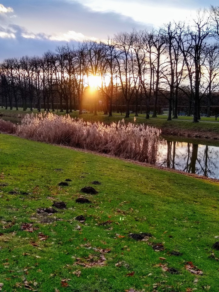 An der Graft, Hannover