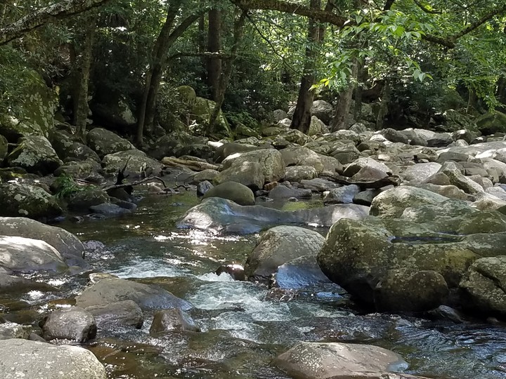 Smoky mountain stream