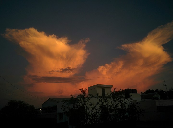 #PhoenixInClouds