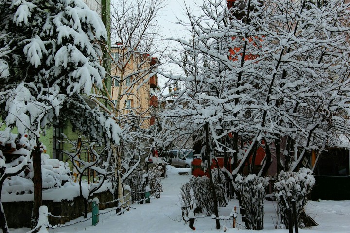 kış