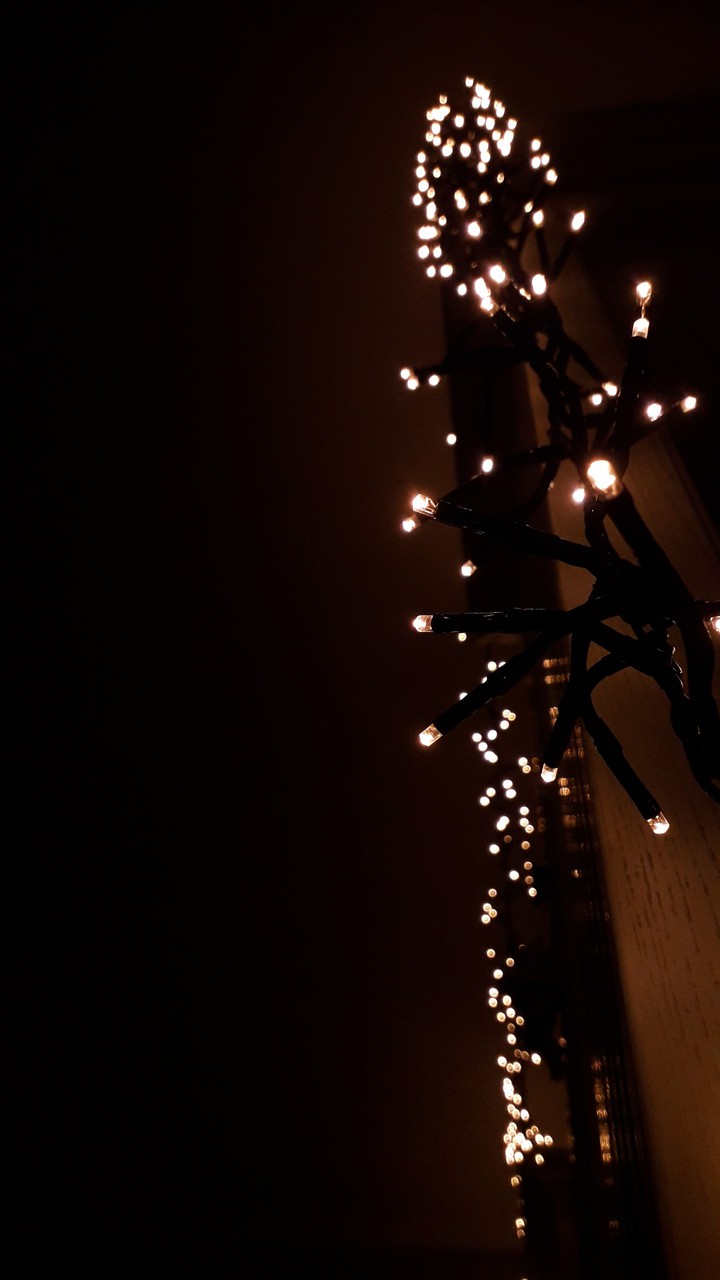 Christmas lights
