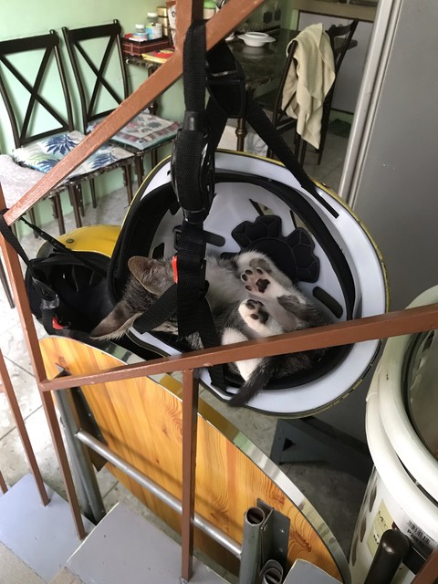 тапети Cute, stairs