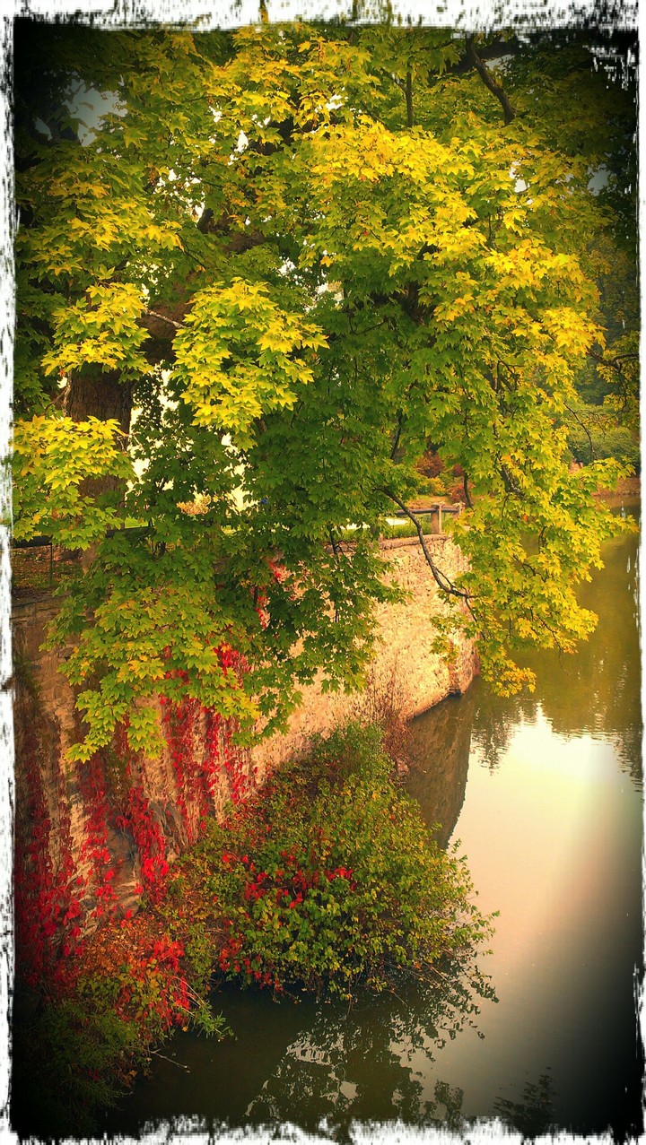 autumm at Red Castle