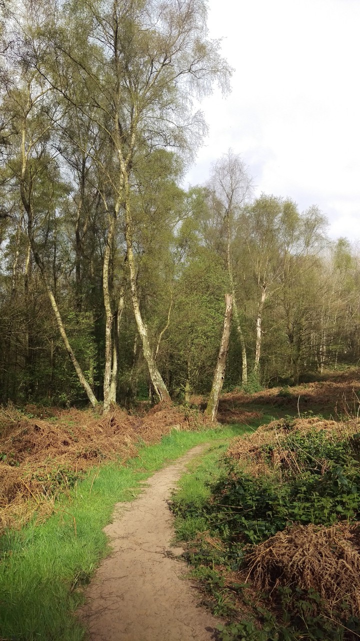 Kinver Walk
