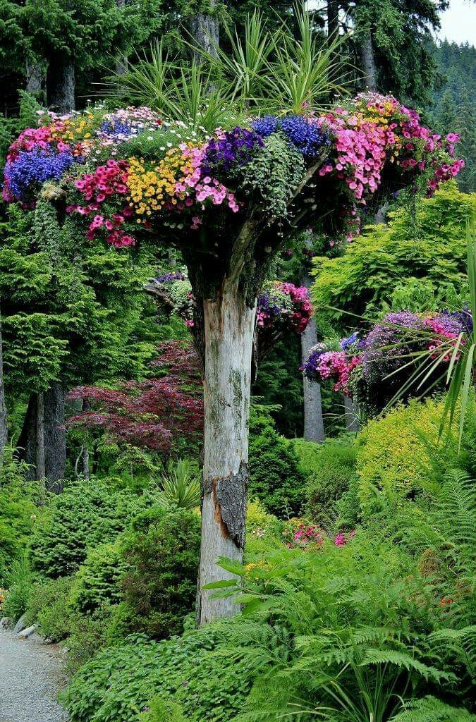 amazing garden