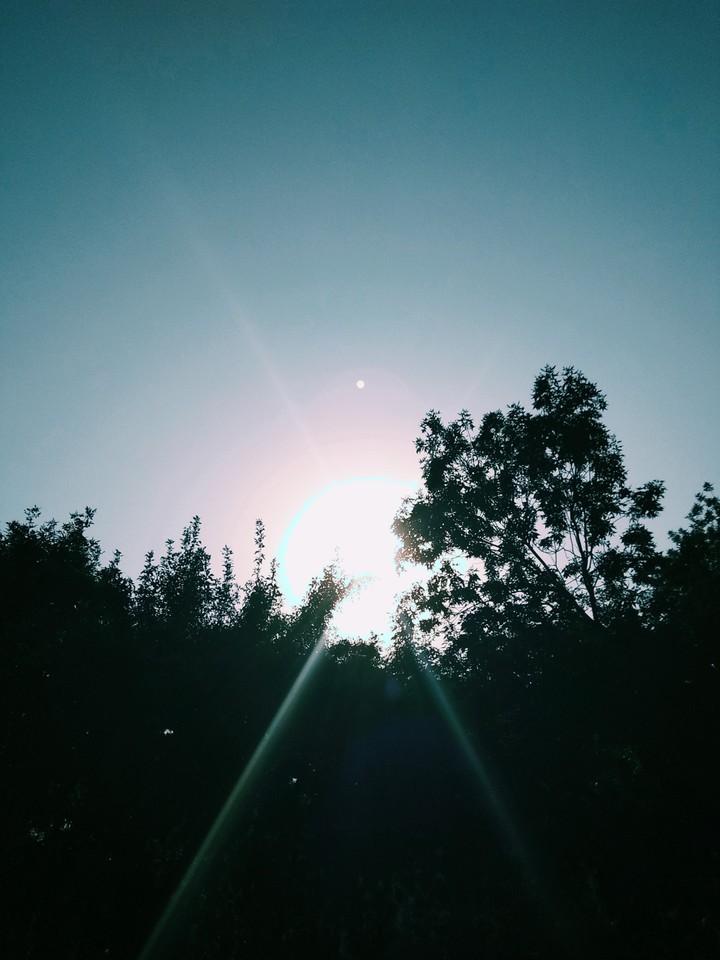 sun