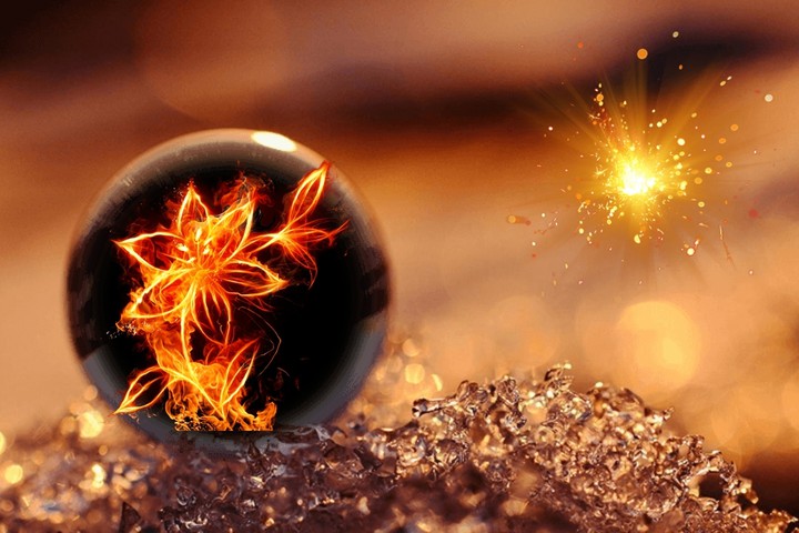 Feuerblume