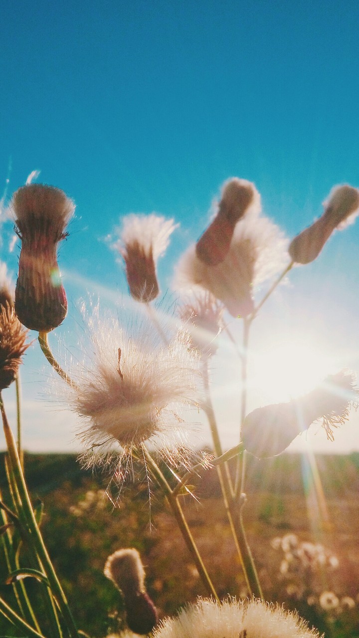 beautiful nature