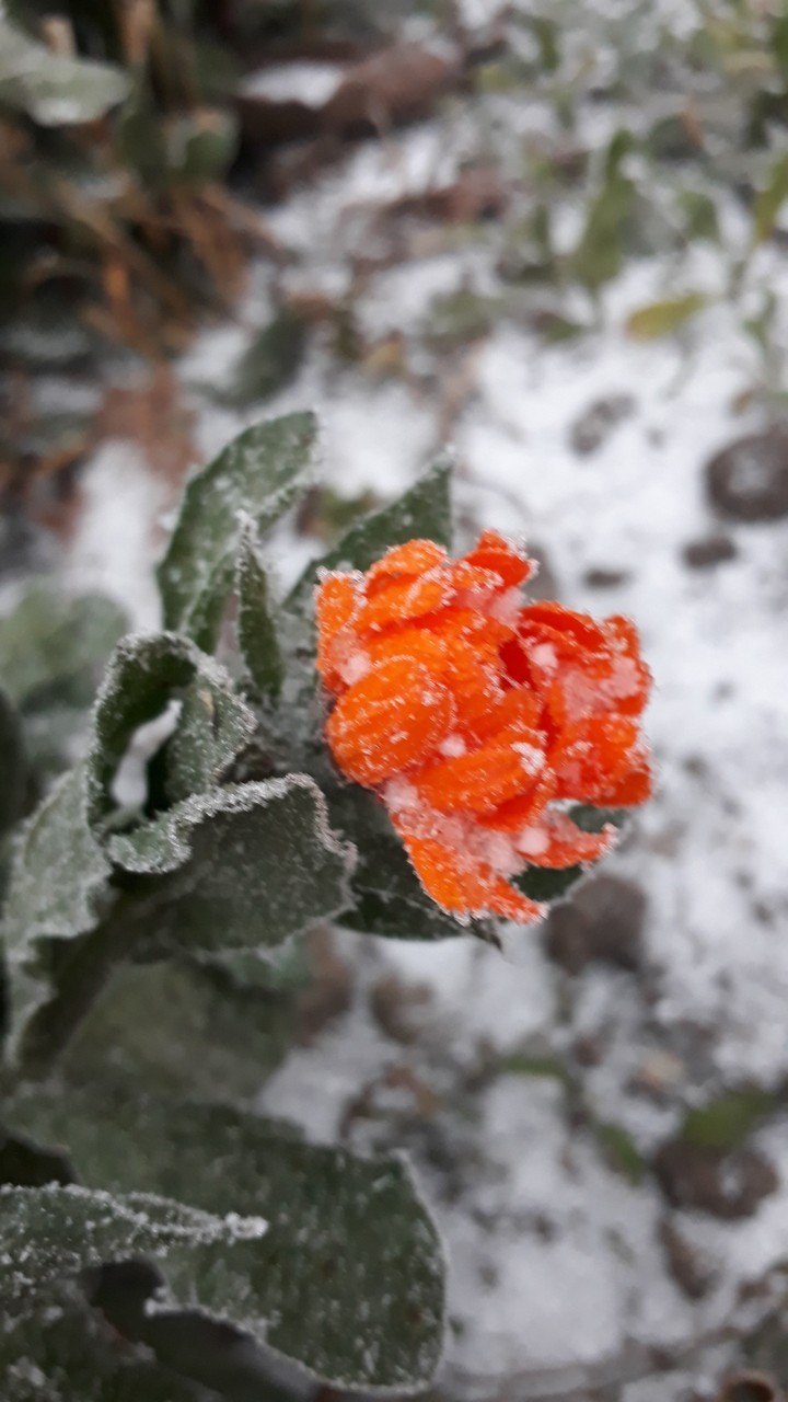 *