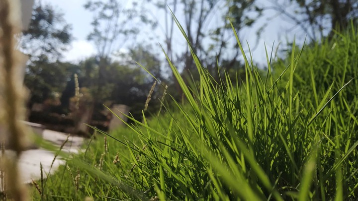 Nature
