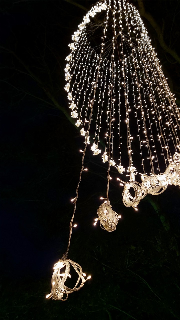 bokeh photography