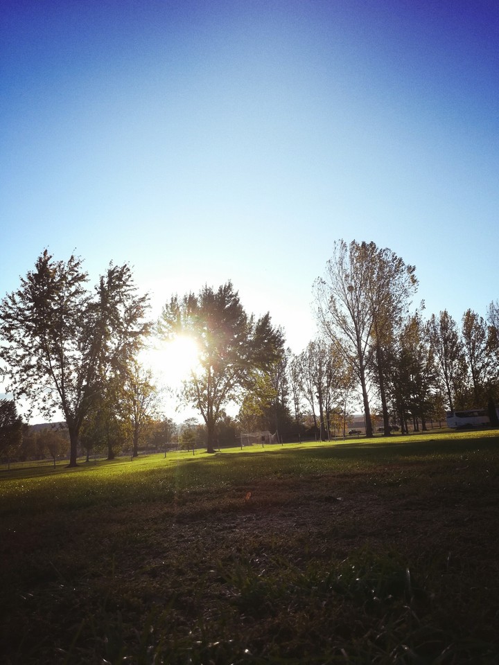 Sunshine