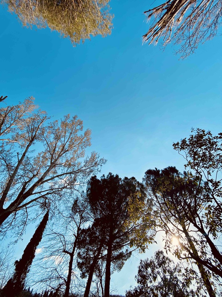 sky