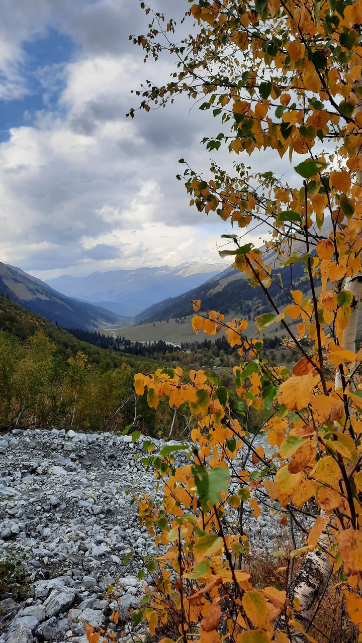 осень