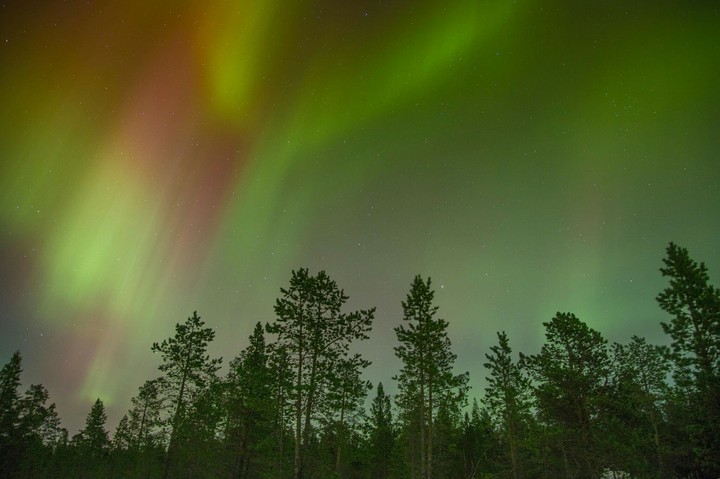 Borealis , Scandinavia , Sweden