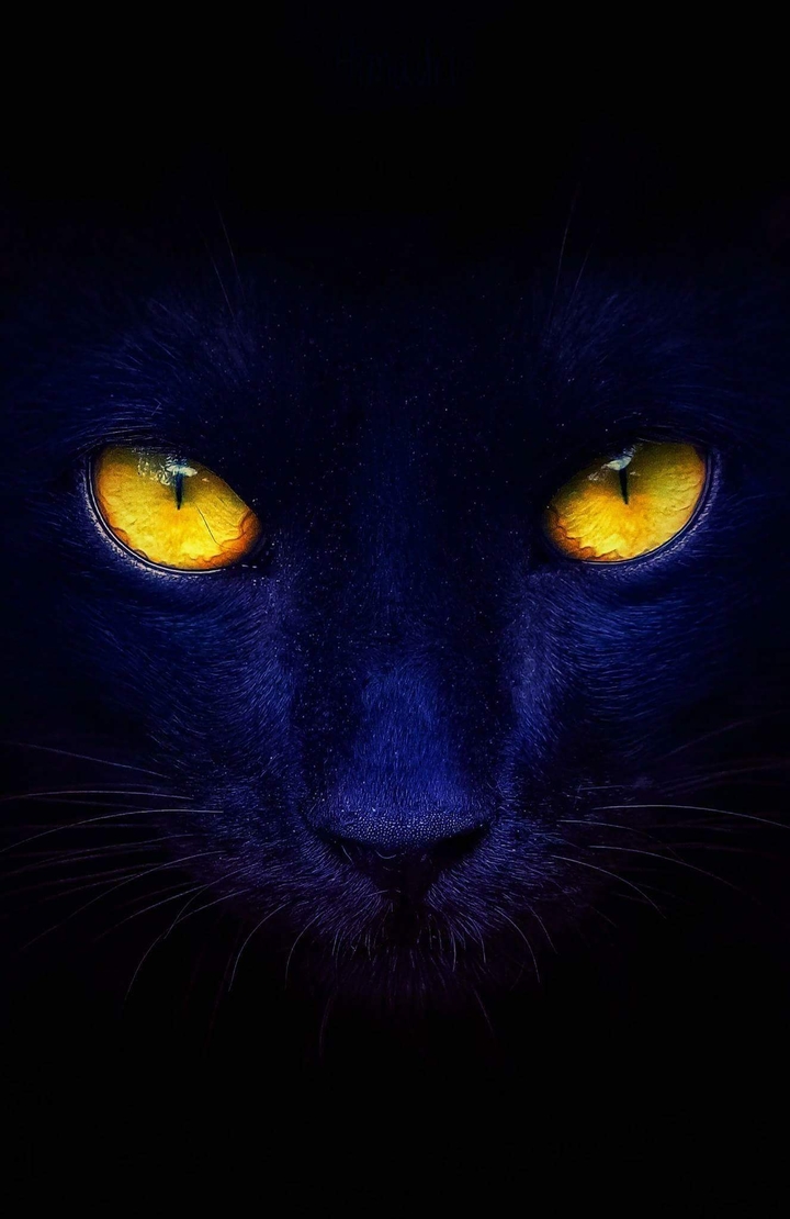 Fierce